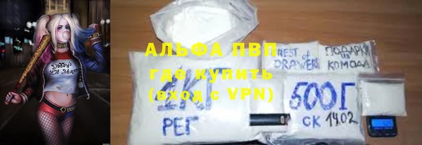 стафф Алексин