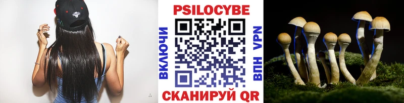 Галлюциногенные грибы Psilocybe  блэк спрут зеркало  Анапа  купить  сайты 